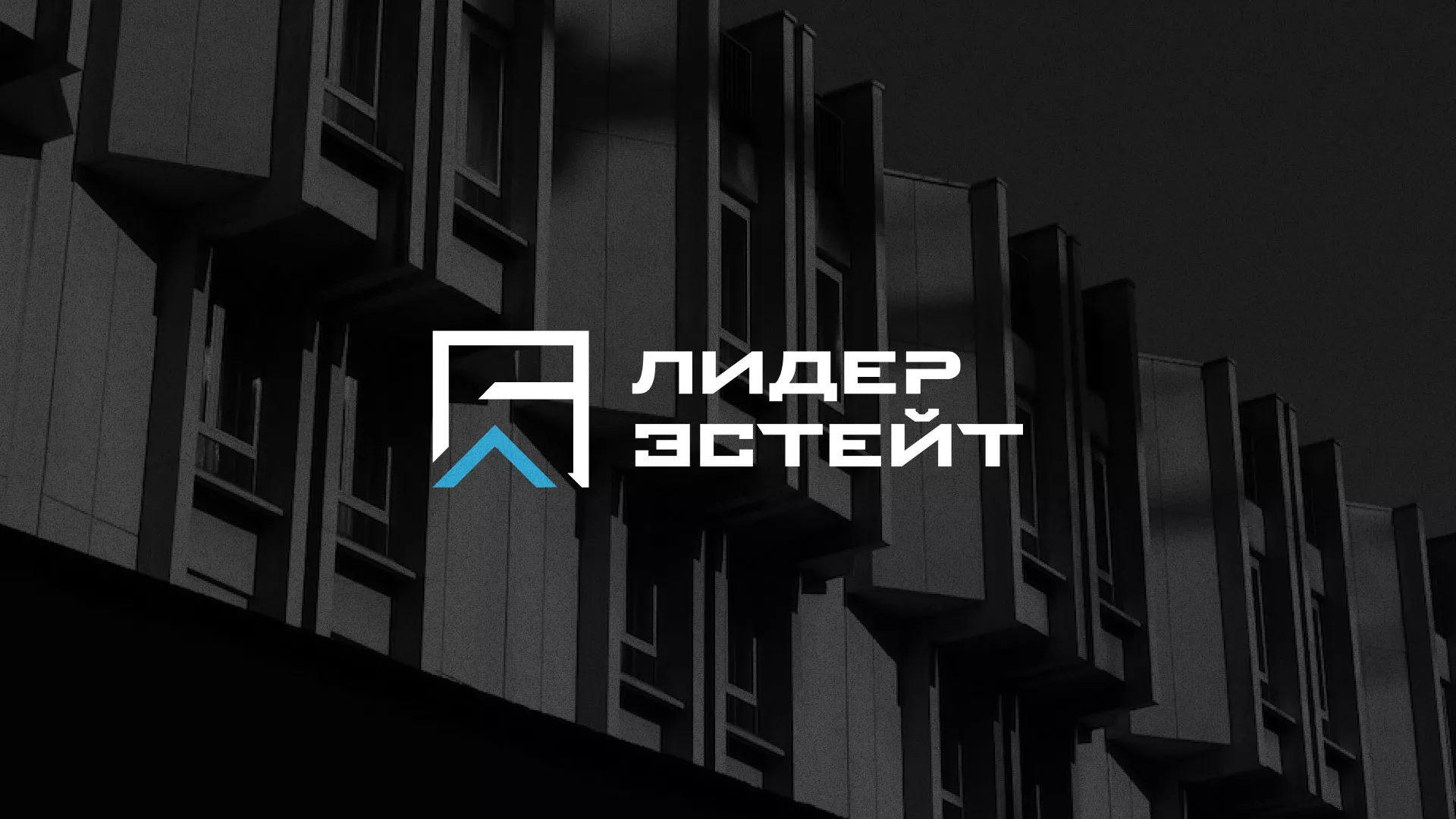 Разработка логотипа агентства недвижимости «Лидер Эстейт» в Ладушкине